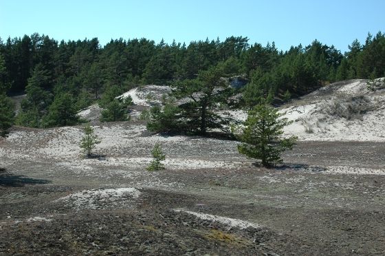 Landskap