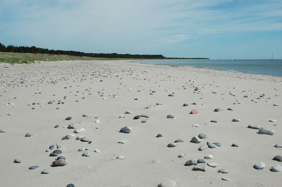 Paradiset