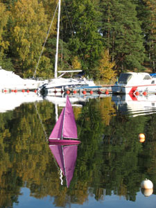 rc2009-10