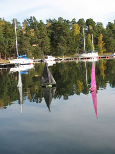 rc2009-16